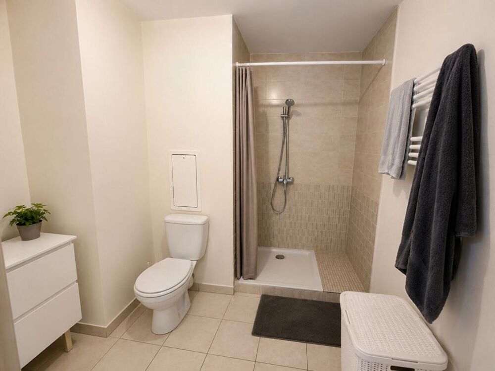 Vente Appartement Appartement Craponne 35 m2 avec garage et terrasse Craponne