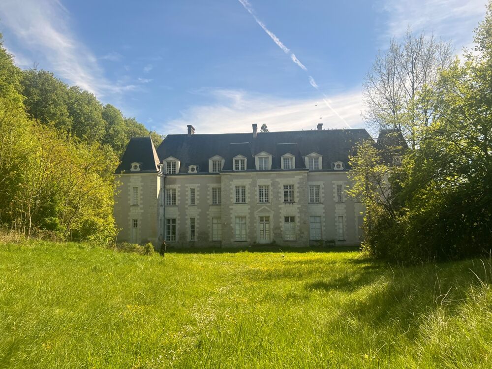 à vendre  Propriété/château Saint-Ouen-les-Vignes (37530)