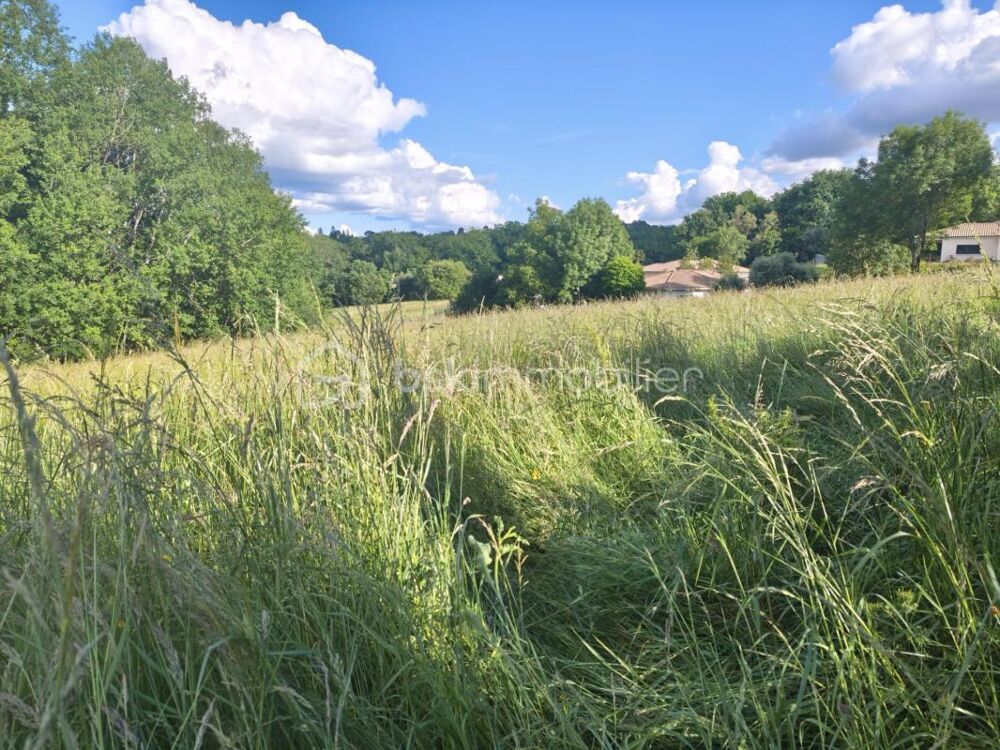 Vente Terrain TERRAIN CONSTRUCTIBLE A VENDRE Champcevinel
