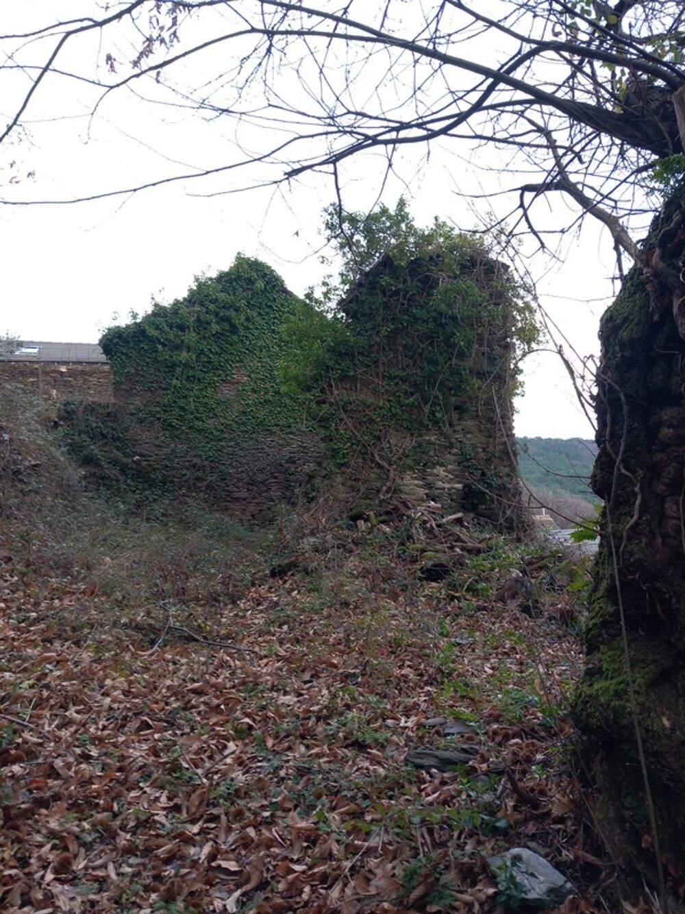 Vente Terrain Terrain à vendre avec ruine  SAINT ETIENNE VALLEE FRANCAISE (48) Saint etienne vallee francaise