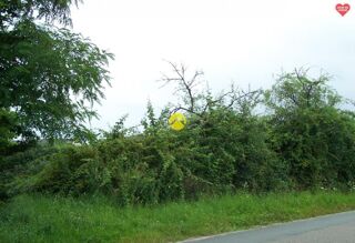  Terrain � vendre 4295 m�