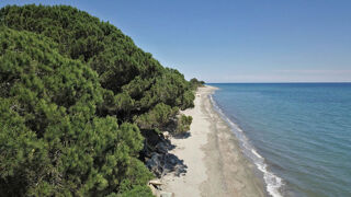  Terrain  vendre 602 m