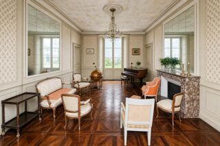  Hôtel Particulier à vendre 12 pièces 600 m² Chatillon sur indre
