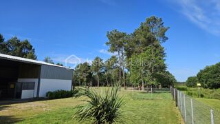  Terrain � vendre 10000 m�