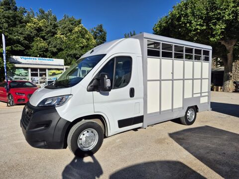 Annonce voiture Opel Movano 42000 €