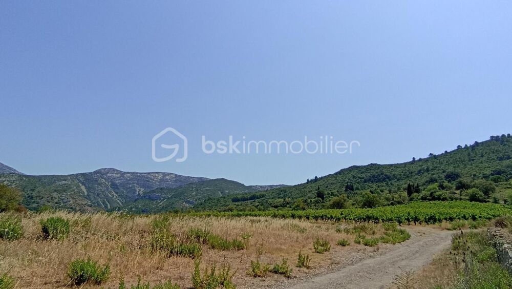 Vente Terrain TERRAIN CONSTRUCTIBLE VIABILISÉ DE 3160 M² Embres et castelmaure