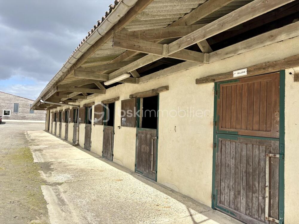 Vente Propriété/Château Propriété équestre d'exception – Cadre naturel préservé aux portes de Chantilly Erquery