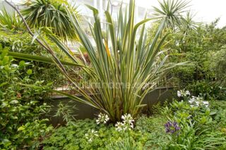  Appartement � vendre 3 pi�ces 60 m�