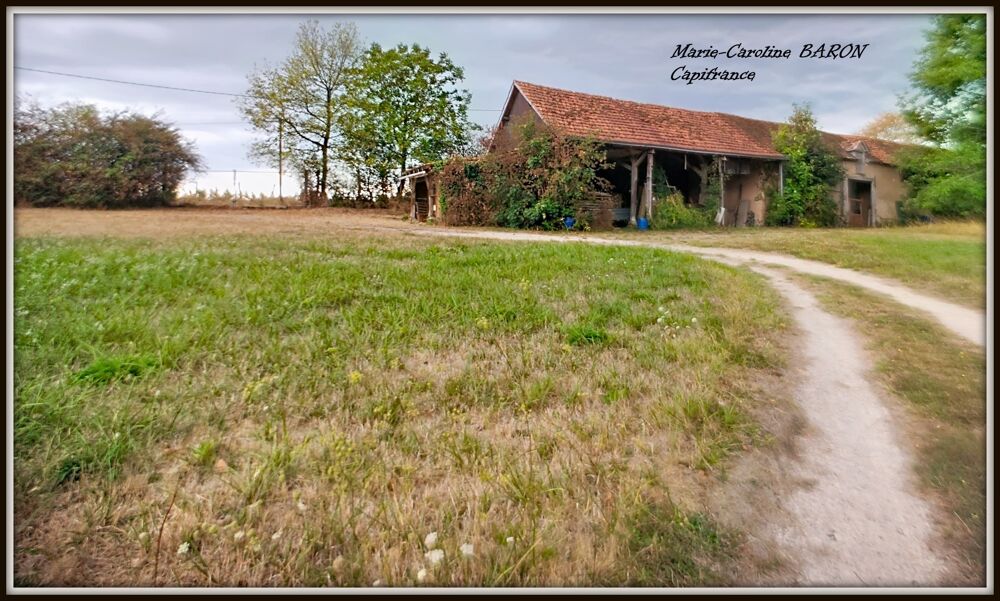 Vente Propriété/Château Propriete MAISON BOIS PRAIRIES BUZANCAIS (36) Buzancais
