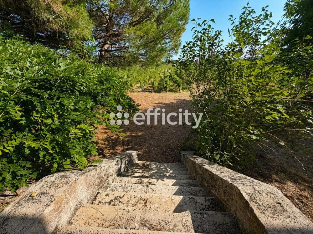 à vendre  Propriété/château Barsac (33720)