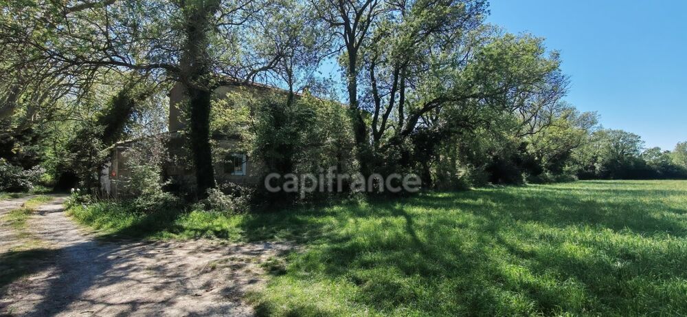 Vente Maison Dpt Bouches du Rhône (13), à vendre FONTVIEILLE propriete P5 Fontvieille