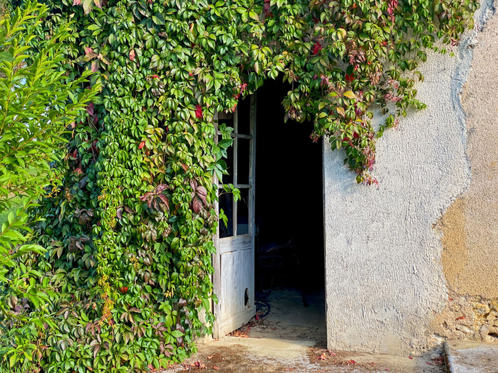 Propriété à vendre 9 pièces RIGUEPEU (32) - 315 m2 - 1,9 hectares