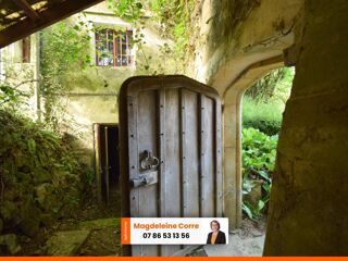  Propriété/château à vendre 12 pièces 360 m²