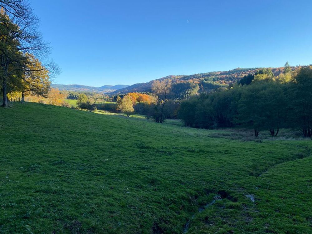 � vendre  Maison Courpi�re (63120)