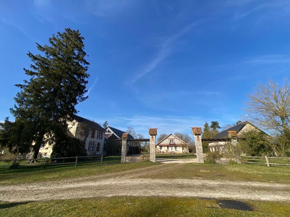 à vendre  Propriété/château Pressigny-les-Pins (45290)