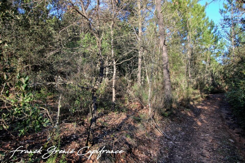 Vente Terrain Terrain naturel 55050m²  TOURVES (83) Tourves