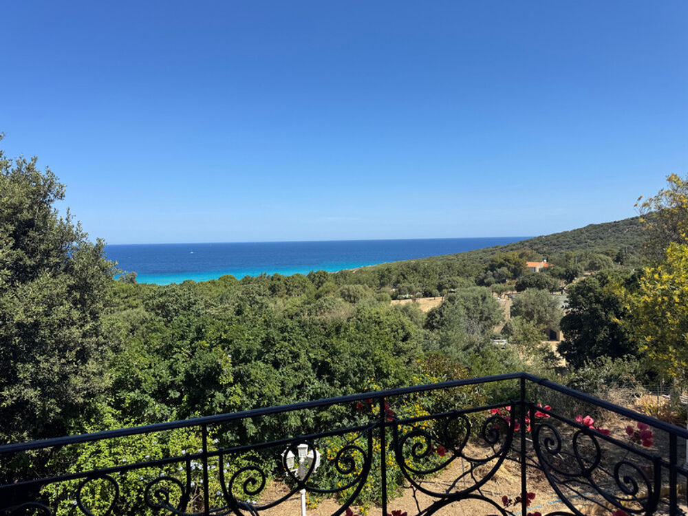 à vendre  Maison Corbara (20256)