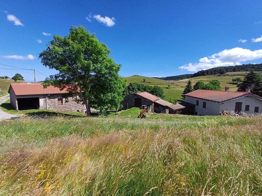 Maison de 100m² en pierres avec dépendances