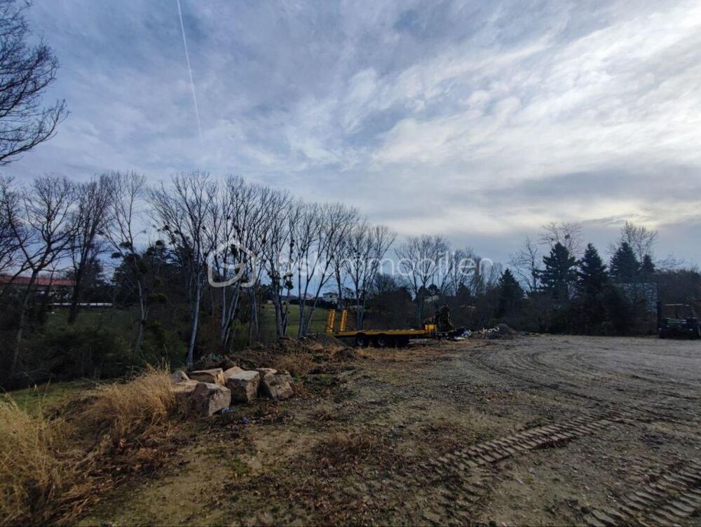 Vente Terrain Terrain à bâtir 1 555 m² – Saint-Jean – Cadre boisé Saint jean