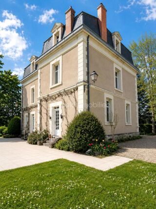  Propriété/château à vendre 11 pièces 300 m²