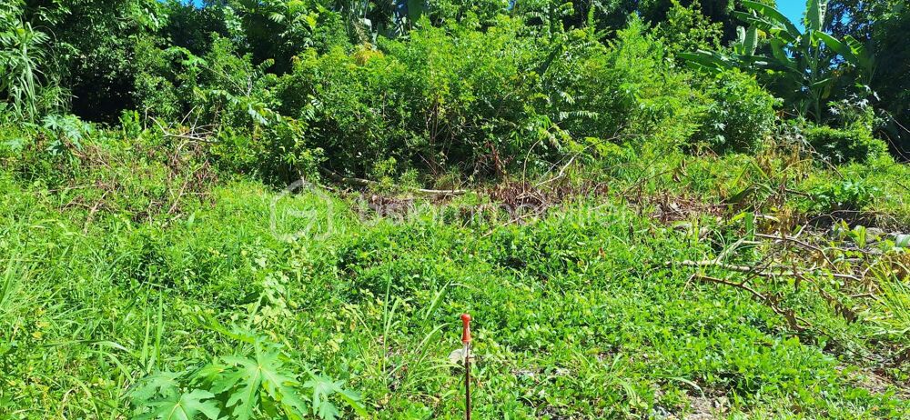 Vente Terrain Sainte-Suzanne –  Terrain plat de 369 m² Sainte suzanne