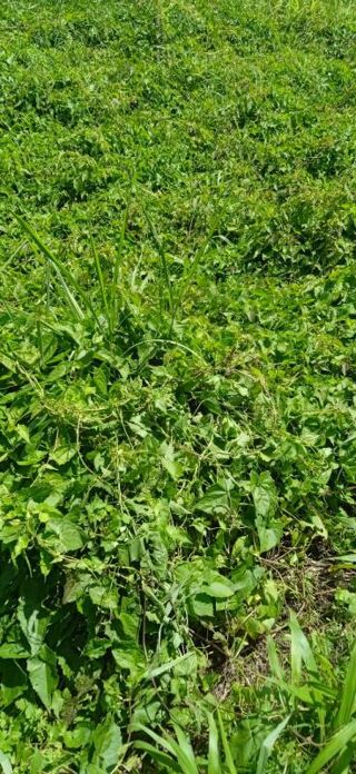  Terrain � vendre 556 m�