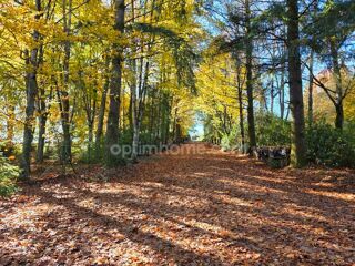  Propri�t�/ch�teau � vendre 12 pi�ces 633 m� Chateauneuf la foret