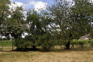  Ferme à vendre 4 pièces 97 m² L abergement de cuisery