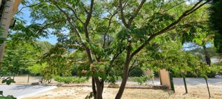  Maison � vendre 7 pi�ces 160 m�