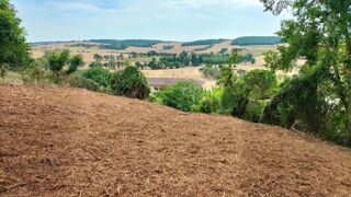  Terrain à vendre 603 m²
