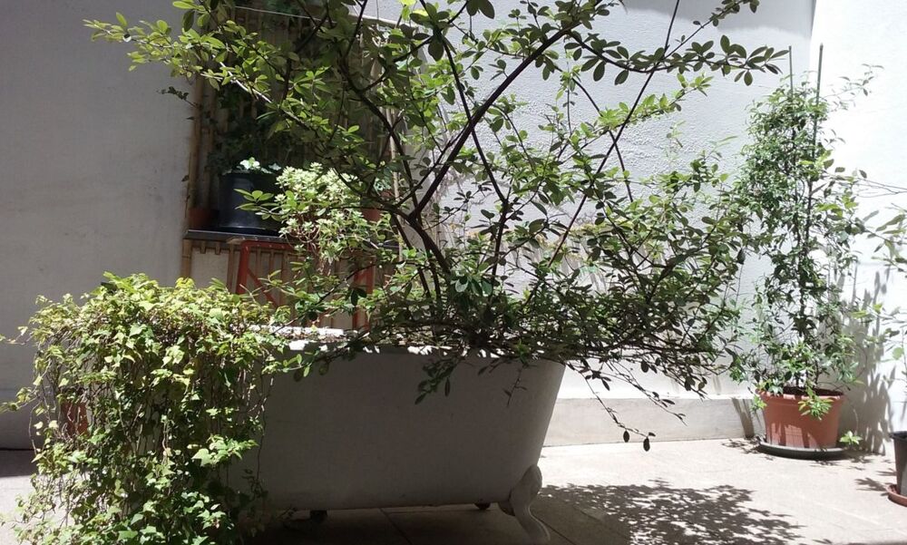 Location Appartement Studio de 28m2 à louer sur Toulouse Toulouse