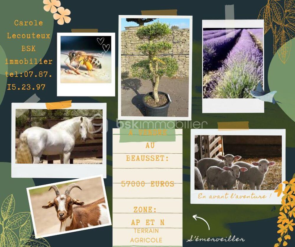 Vente Terrain ? À VENDRE – TERRAIN NATUREL AU BEAUSSET ?(zone AP et N) Le beausset