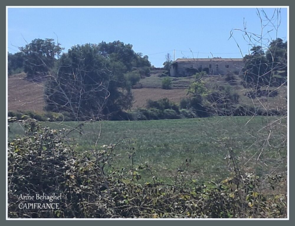 Vente Maison Longère en pierre à rénover MONCRABEAU (47) Terrain 12000 m2 - Hangar 160 m2 Moncrabeau