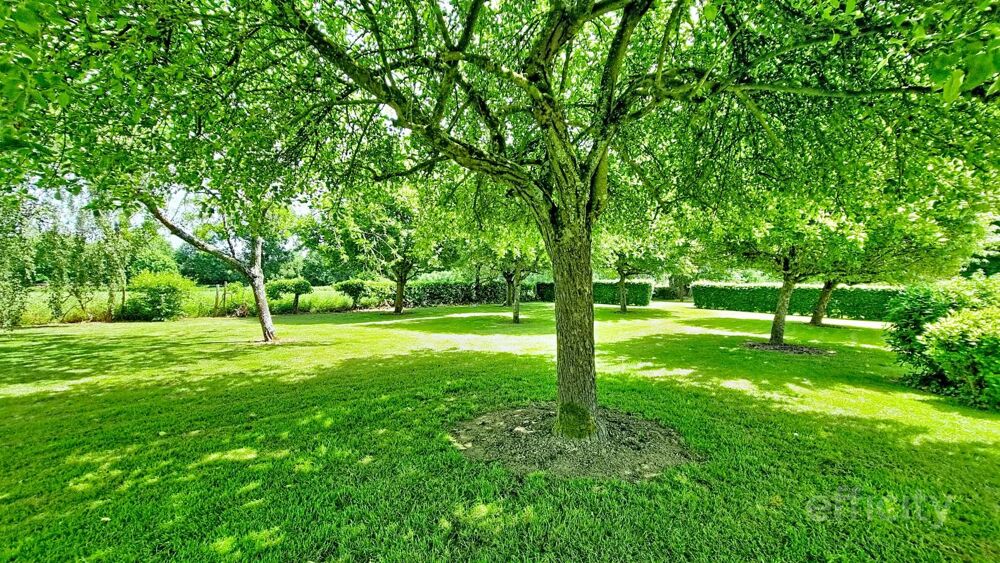 à vendre  Propriété/château Saint-Grégoire (35760)