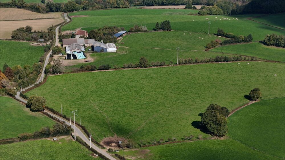 Propriété à vendre  Ancienne seigneurie avec 45 hectares attenants  Proche La Châtre (36) ferme équestre ou agricole