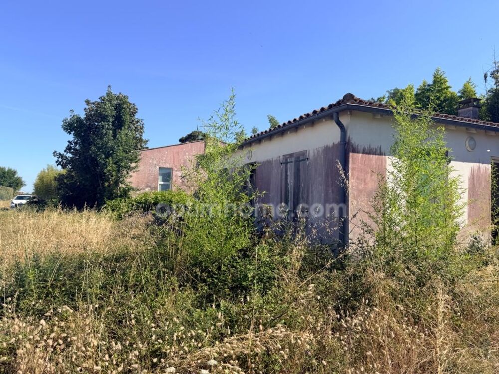 EXCLUSIVITÉ  ENSEMBLE IMMOBILIER SUR PARCELLE AGRICOLE : MAISON DE PLAIN-PIED & HANGAR