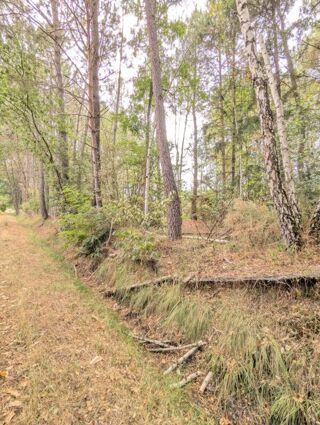  Terrain à vendre 2187 m²