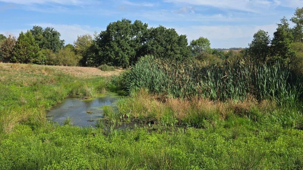 Vente Remise/Grange GRANGE 2 PIECES + TERRAIN AGRICOLE ~ 1.4Ha AVEC PECHERIE - ENVIRONNEMENT CALME ET CAMPAGNE Cieux