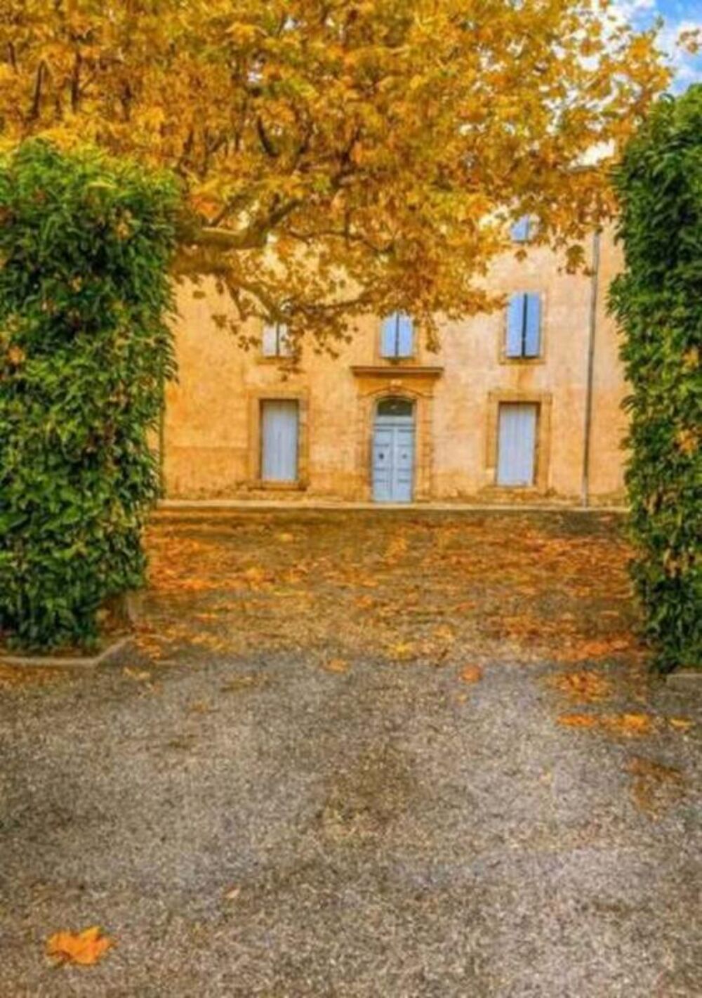 Location Maison 10 pièces 338 m² - Vue 3