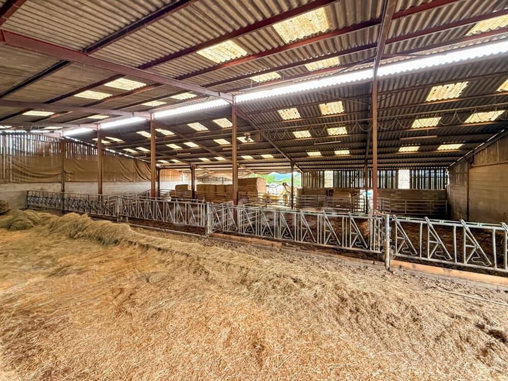 Propriete à vendre 2 pièces JONCY (71)