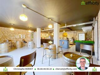  Immeuble à vendre 15 + pièces 1200 m²