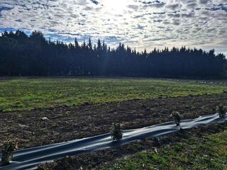  Terrain � vendre 1500 m�