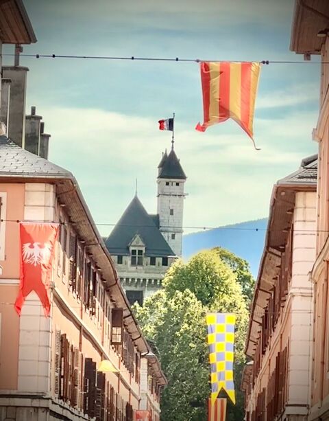 Savoie (73), à vendre CHAMBERY Centre ville, local commercial 58m2, emplacement n°1 56000 73000 Chambery