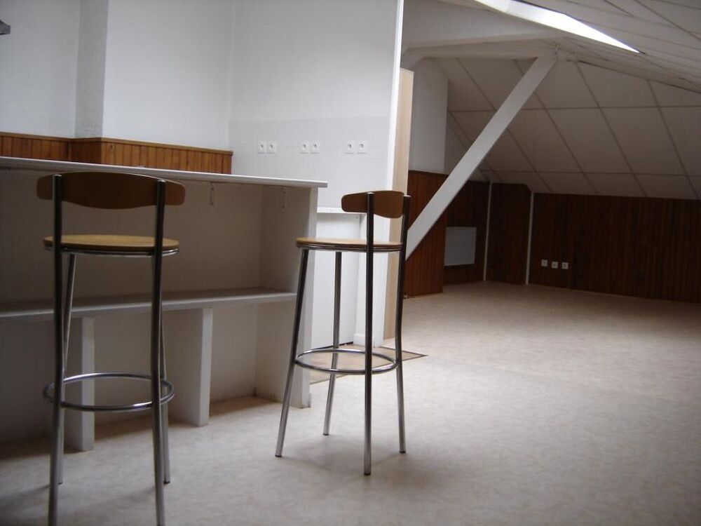 Location Appartement Studio de 45m2 à louer sur Germigny-l'Évêque Germigny l eveque