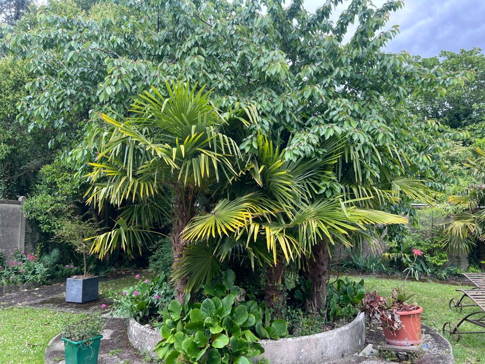 Maison à vendre 6 pièces SAINTES (17) et un appartement