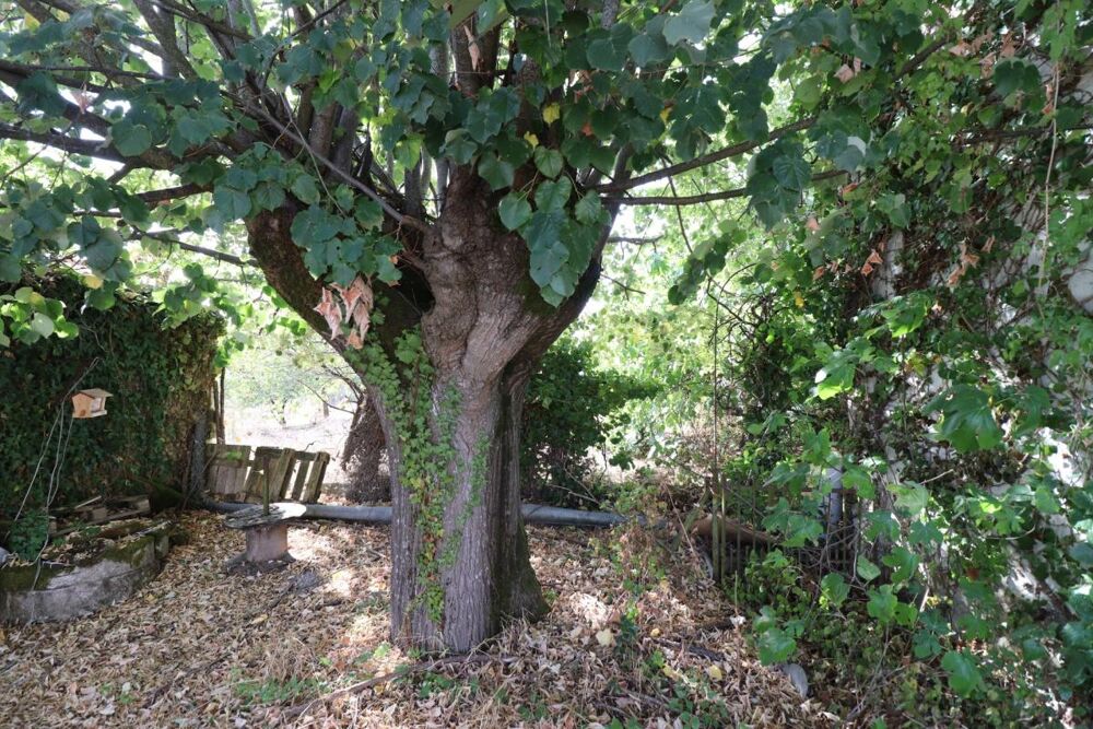 Vente Maison MAISON AC VENDRE DE 130m² A PRIGNAC (17) Prignac