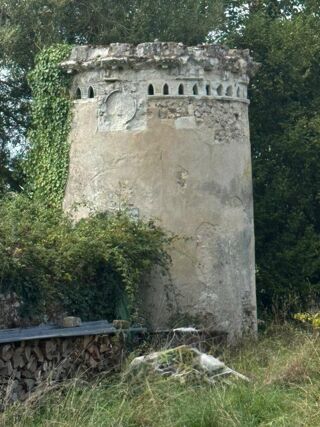  Propriété/château à vendre 15 + pièces 1100 m²