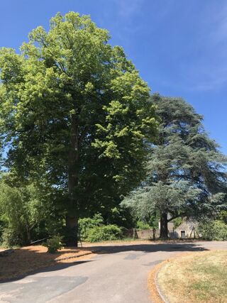  Propri�t�/ch�teau � vendre 15 + pi�ces 450 m�