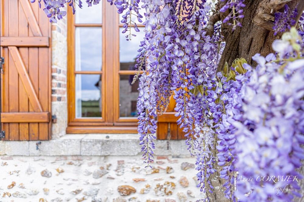 Propriété d'Agrément à vendre, Gîtes, Chambre dhôtes