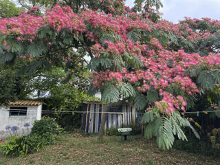  Maison � vendre 6 pi�ces 124 m�